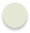 ikona