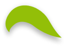 ikona