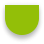 ikona