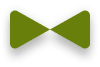 ikona